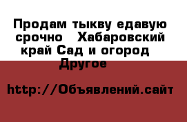 Продам тыкву едавую срочно - Хабаровский край Сад и огород » Другое   